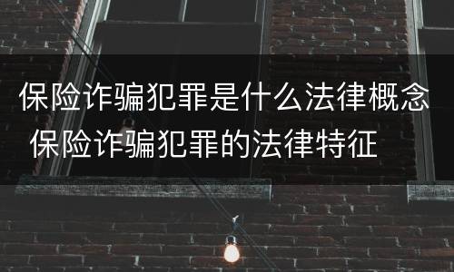 保险诈骗犯罪是什么法律概念 保险诈骗犯罪的法律特征