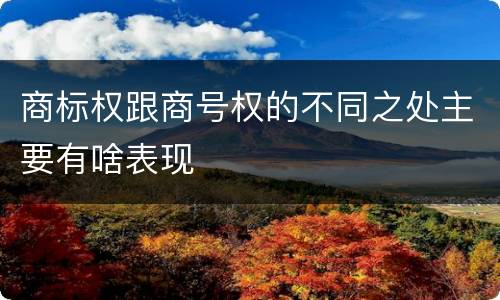 商标权跟商号权的不同之处主要有啥表现