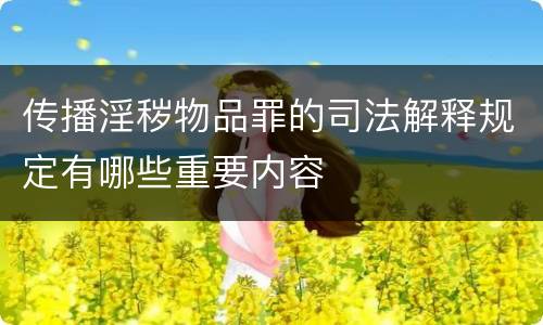 传播淫秽物品罪的司法解释规定有哪些重要内容