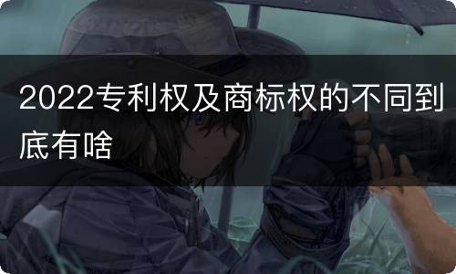 2022专利权及商标权的不同到底有啥