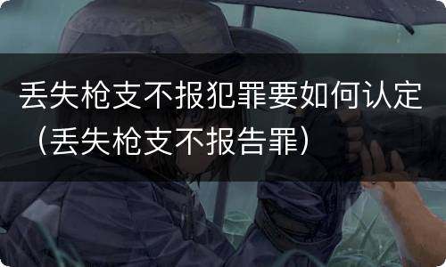 丢失枪支不报犯罪要如何认定（丢失枪支不报告罪）