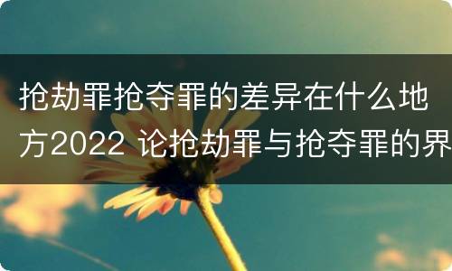 抢劫罪抢夺罪的差异在什么地方2022 论抢劫罪与抢夺罪的界限