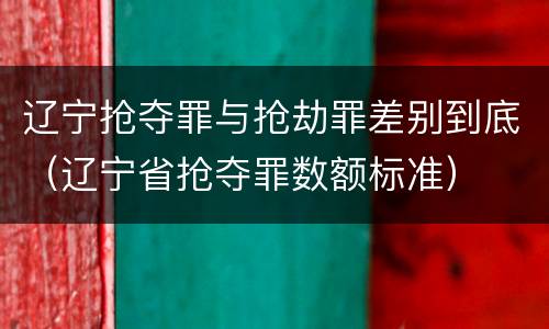 辽宁抢夺罪与抢劫罪差别到底（辽宁省抢夺罪数额标准）