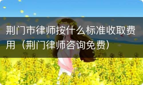 荆门市律师按什么标准收取费用（荆门律师咨询免费）