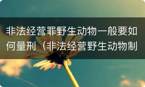 非法经营罪野生动物一般要如何量刑（非法经营野生动物制品罪）