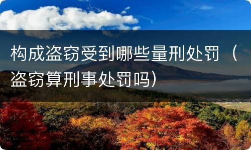 构成盗窃受到哪些量刑处罚（盗窃算刑事处罚吗）