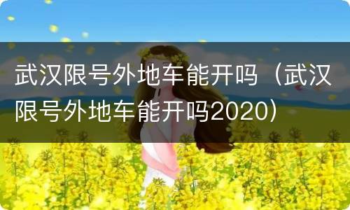 武汉限号外地车能开吗（武汉限号外地车能开吗2020）