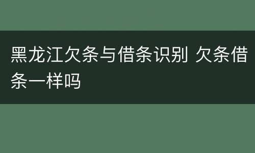 黑龙江欠条与借条识别 欠条借条一样吗