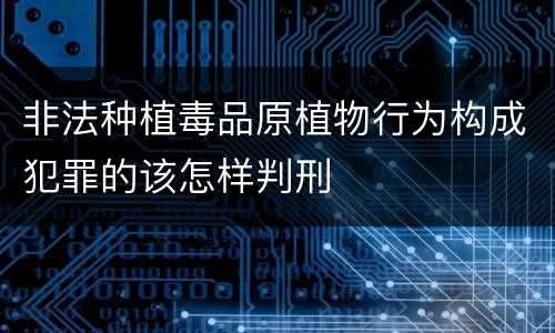 非法种植毒品原植物行为构成犯罪的该怎样判刑
