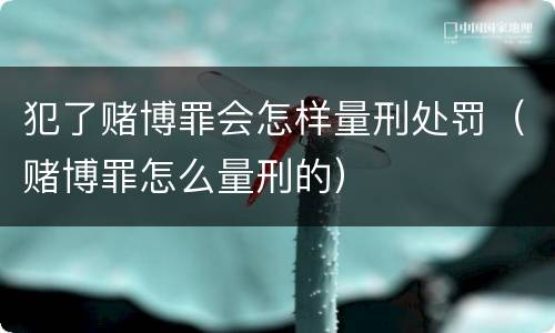 犯了赌博罪会怎样量刑处罚（赌博罪怎么量刑的）