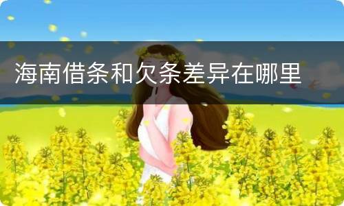海南借条和欠条差异在哪里