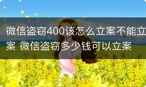 微信盗窃400该怎么立案不能立案 微信盗窃多少钱可以立案