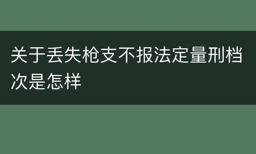 关于丢失枪支不报法定量刑档次是怎样