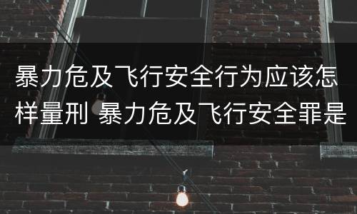 暴力危及飞行安全行为应该怎样量刑 暴力危及飞行安全罪是危险犯吗