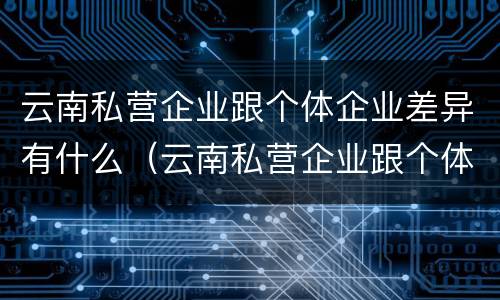 云南私营企业跟个体企业差异有什么（云南私营企业跟个体企业差异有什么区别）