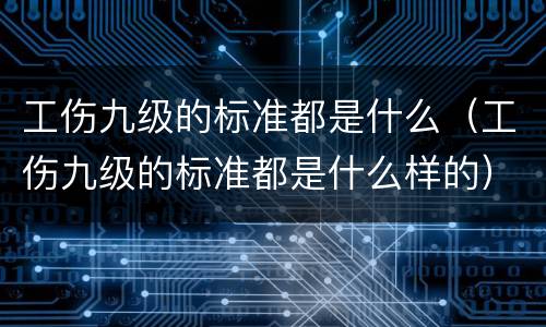 工伤九级的标准都是什么（工伤九级的标准都是什么样的）