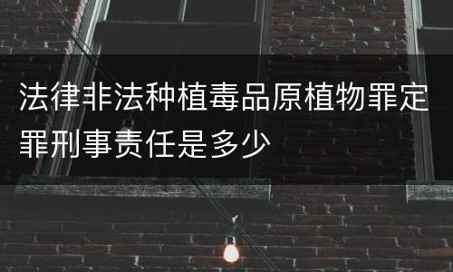 法律非法种植毒品原植物罪定罪刑事责任是多少