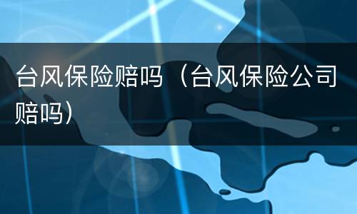 台风保险赔吗（台风保险公司赔吗）
