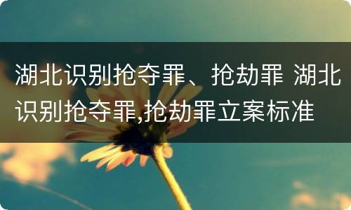 湖北识别抢夺罪、抢劫罪 湖北识别抢夺罪,抢劫罪立案标准