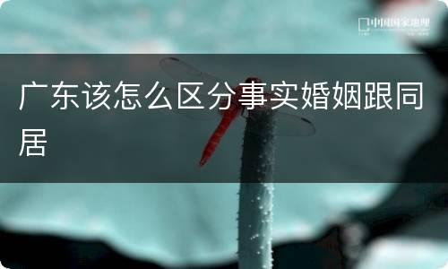 广东该怎么区分事实婚姻跟同居
