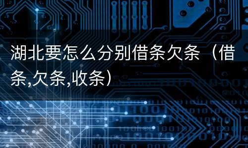 湖北要怎么分别借条欠条（借条,欠条,收条）