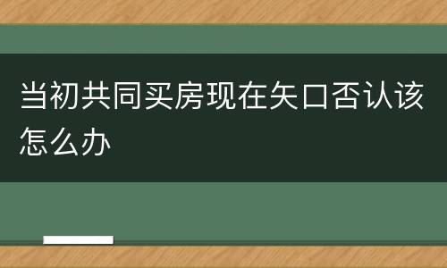 当初共同买房现在矢口否认该怎么办