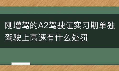 刚增驾的A2驾驶证实习期单独驾驶上高速有什么处罚