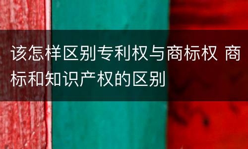 该怎样区别专利权与商标权 商标和知识产权的区别