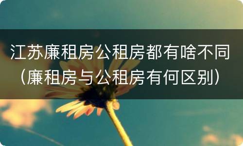 江苏廉租房公租房都有啥不同（廉租房与公租房有何区别）