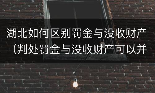 湖北如何区别罚金与没收财产（判处罚金与没收财产可以并罚吗）