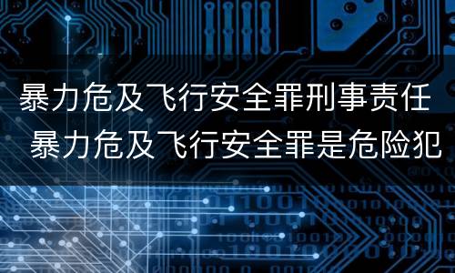 暴力危及飞行安全罪刑事责任 暴力危及飞行安全罪是危险犯吗