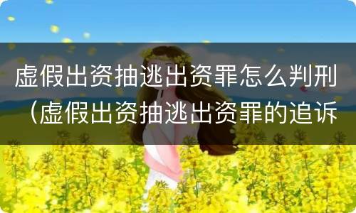 虚假出资抽逃出资罪怎么判刑（虚假出资抽逃出资罪的追诉标准）