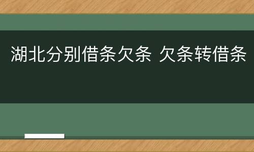 湖北分别借条欠条 欠条转借条