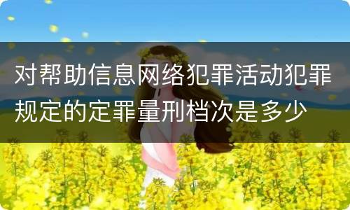 对帮助信息网络犯罪活动犯罪规定的定罪量刑档次是多少