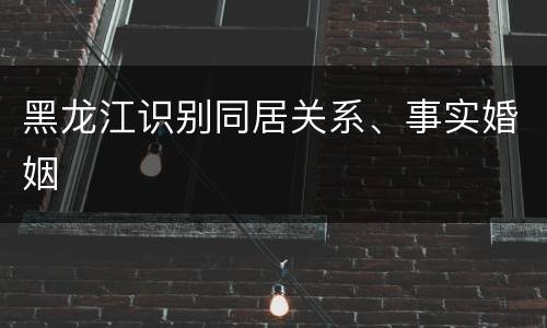 黑龙江识别同居关系、事实婚姻