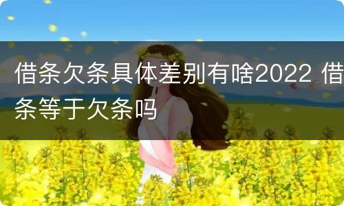 借条欠条具体差别有啥2022 借条等于欠条吗