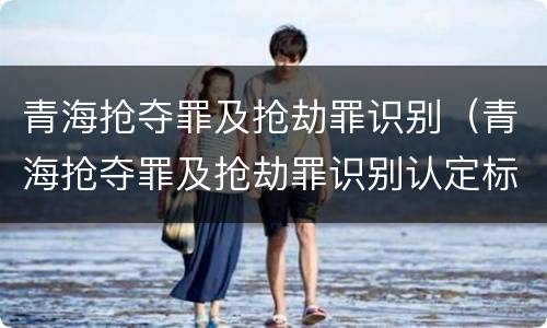 青海抢夺罪及抢劫罪识别（青海抢夺罪及抢劫罪识别认定标准）