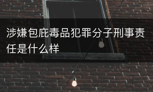 涉嫌包庇毒品犯罪分子刑事责任是什么样