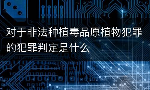 对于非法种植毒品原植物犯罪的犯罪判定是什么