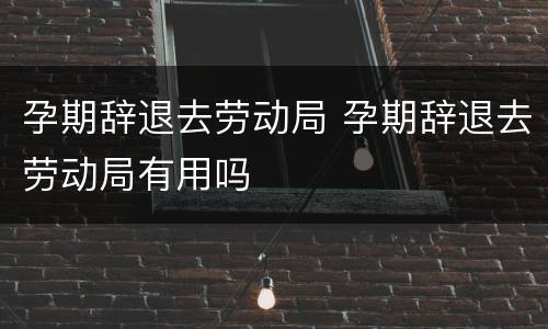 孕期辞退去劳动局 孕期辞退去劳动局有用吗