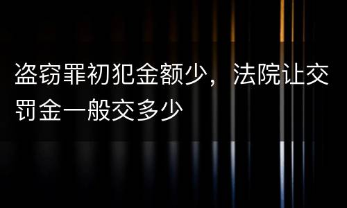 盗窃罪初犯金额少，法院让交罚金一般交多少