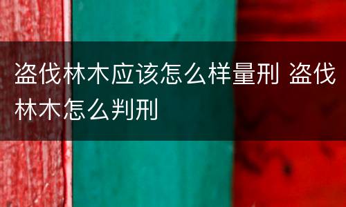 盗伐林木应该怎么样量刑 盗伐林木怎么判刑