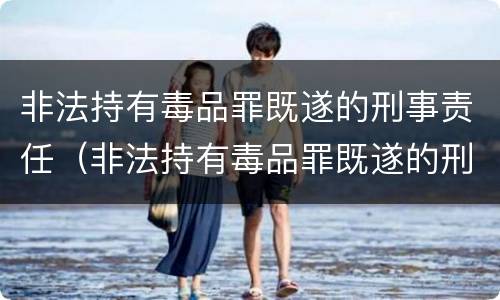 非法持有毒品罪既遂的刑事责任（非法持有毒品罪既遂的刑事责任）
