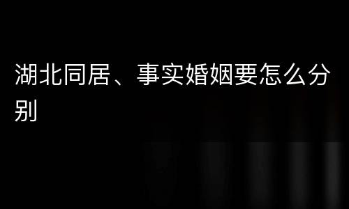 湖北同居、事实婚姻要怎么分别