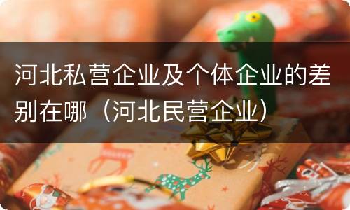 河北私营企业及个体企业的差别在哪（河北民营企业）