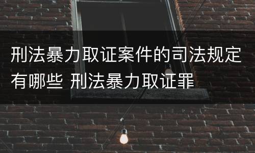 刑法暴力取证案件的司法规定有哪些 刑法暴力取证罪