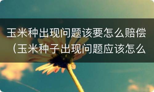 玉米种出现问题该要怎么赔偿（玉米种子出现问题应该怎么赔偿）