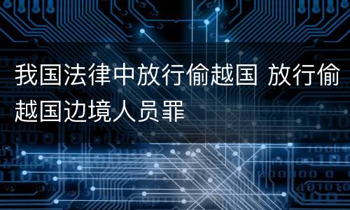 我国法律中放行偷越国 放行偷越国边境人员罪