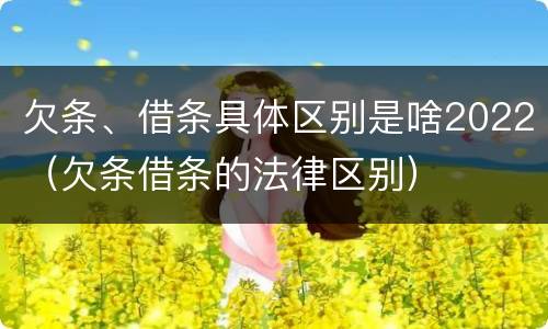 欠条、借条具体区别是啥2022（欠条借条的法律区别）
