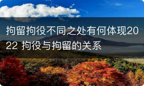 拘留拘役不同之处有何体现2022 拘役与拘留的关系